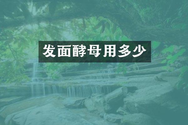 发面酵母用多少