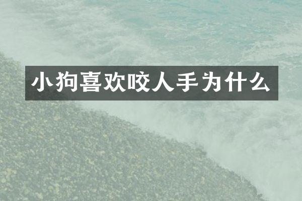 小狗喜欢咬人手为什么
