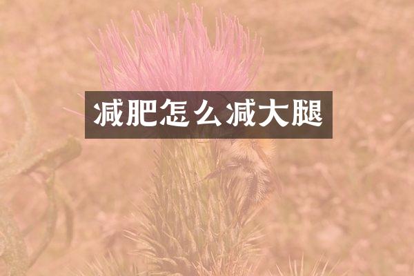 减肥怎么减大腿