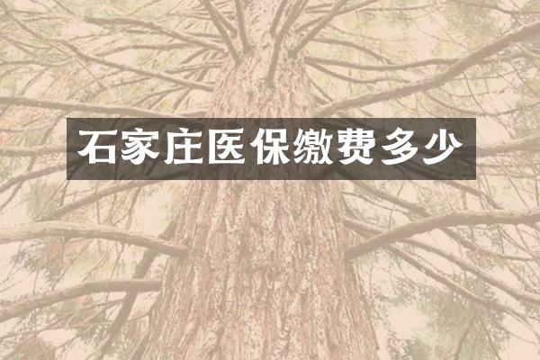 石家庄医保缴费多少