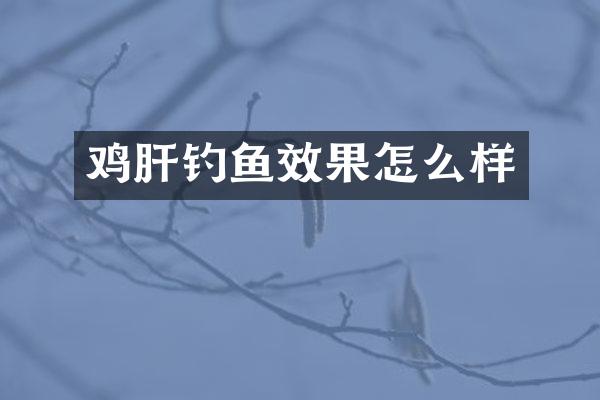 鸡肝钓鱼效果怎么样
