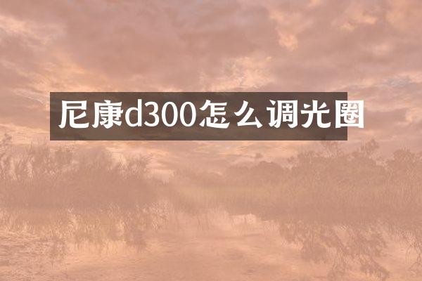 尼康d300怎么调光圈