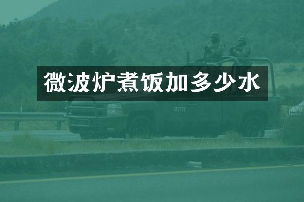 微波炉煮饭加多少水