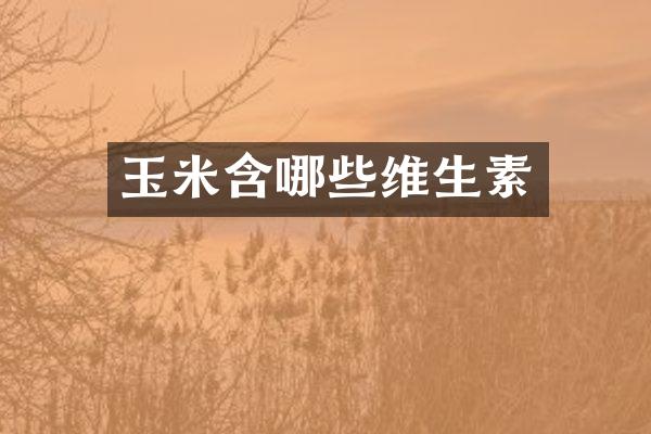 玉米含哪些维生素