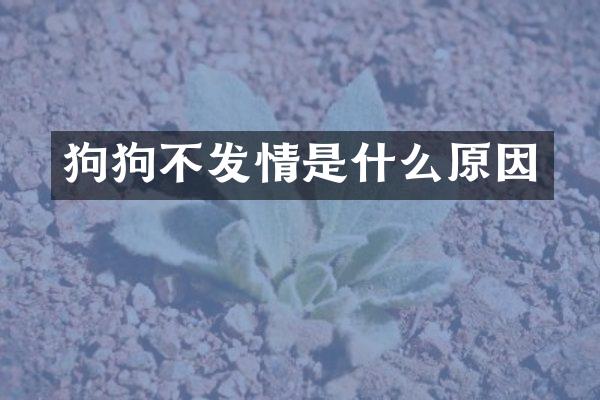 狗狗不发情是什么原因