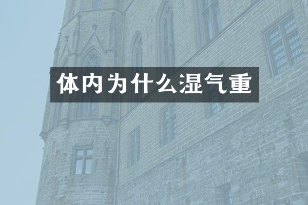 体内为什么湿气重