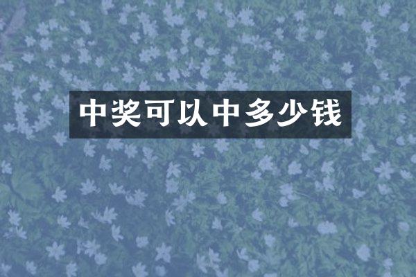 中奖可以中多少钱