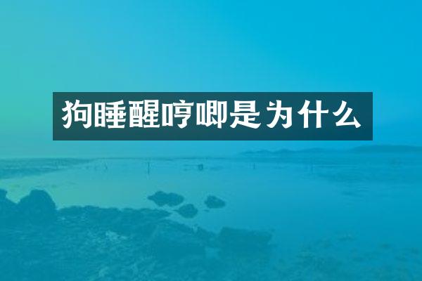 狗睡醒哼唧是为什么