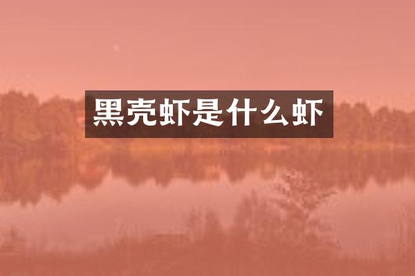 黑壳虾是什么虾