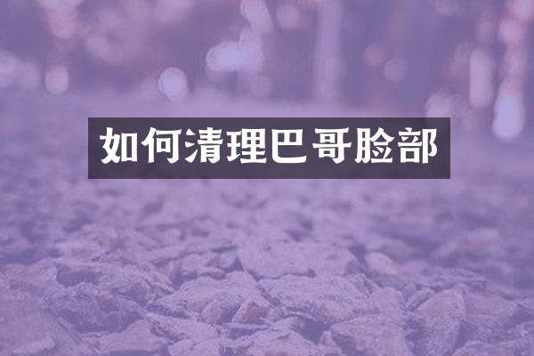 如何清理巴哥脸部