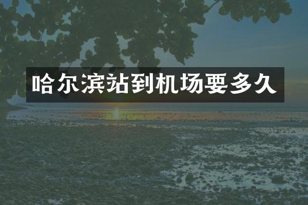 哈尔滨站到机场要多久