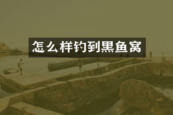 怎么样钓到黑鱼窝