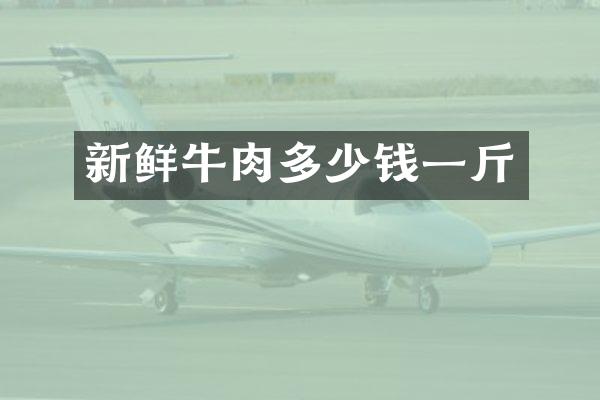 新鲜牛肉多少钱一斤