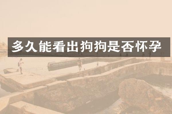 多久能看出狗狗是否怀孕