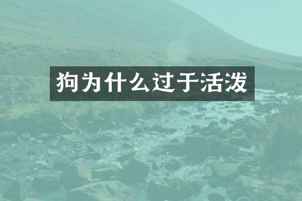 狗为什么过于活泼