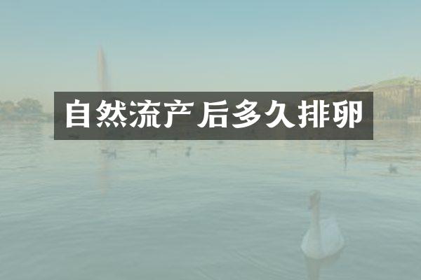 自然流产后多久排卵