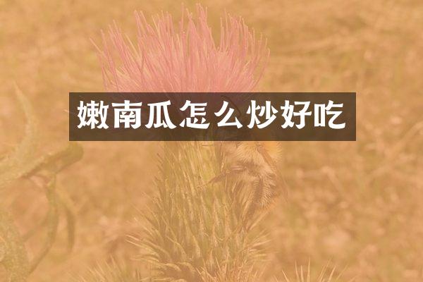 嫩南瓜怎么炒好吃