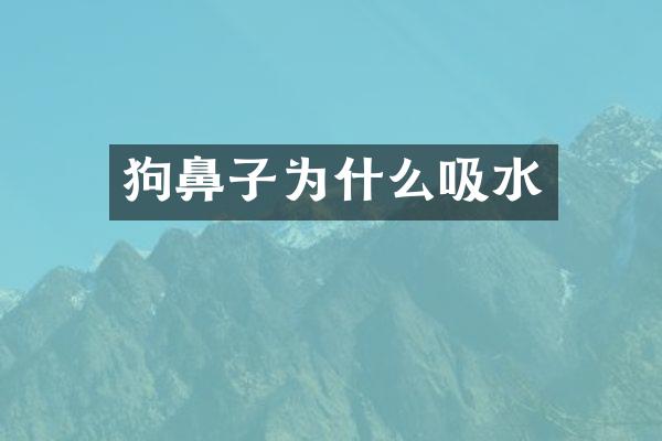 狗鼻子为什么吸水