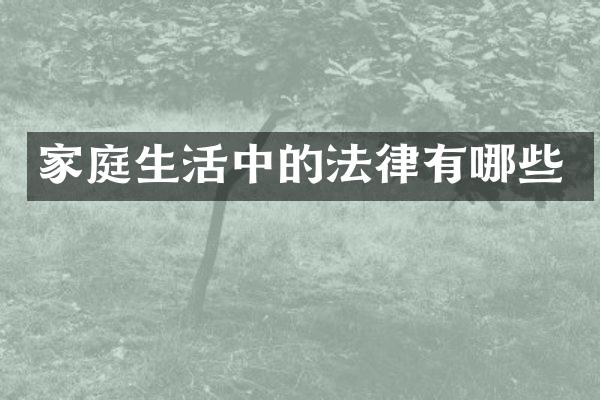 家庭生活中的法律有哪些