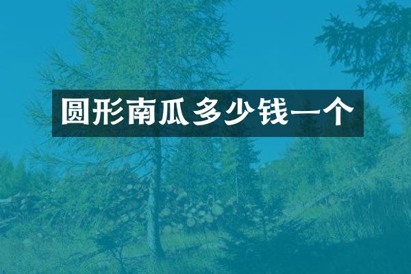 圆形南瓜多少钱一个