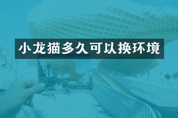 小龙猫多久可以换环境
