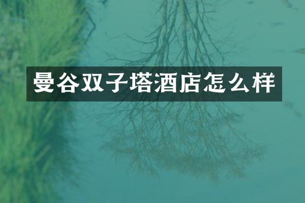 曼谷双子塔酒店怎么样