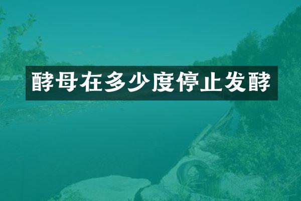 酵母在多少度停止发酵