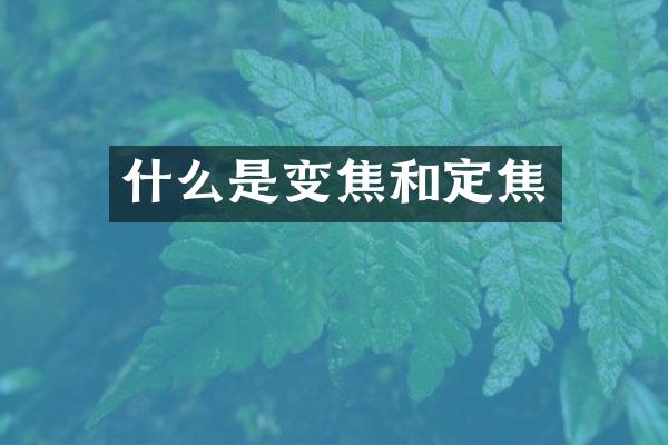 什么是变焦和定焦