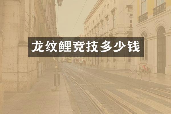 龙纹鲤竞技多少钱