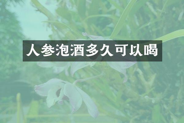 人参泡酒多久可以喝