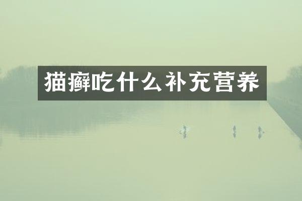 猫癣吃什么补充营养