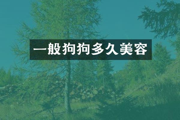 一般狗狗多久美容