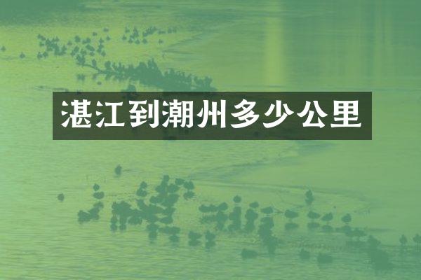 湛江到潮州多少公里