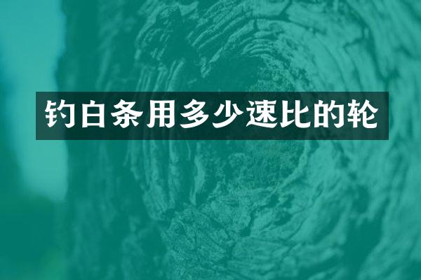 钓白条用多少速比的轮