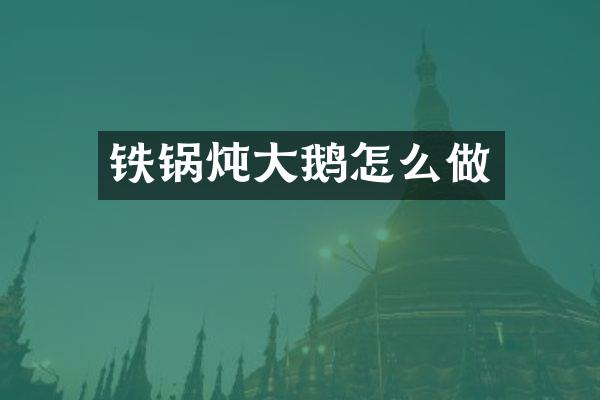 铁锅炖大鹅怎么做