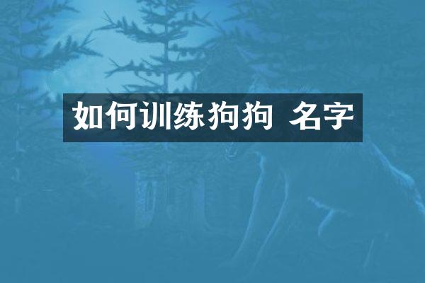 如何训练狗狗 名字