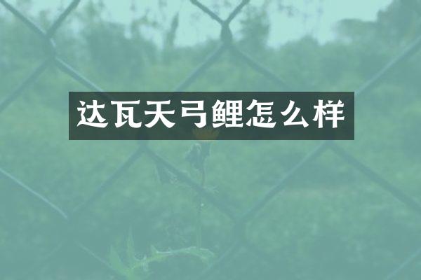 达瓦天弓鲤怎么样