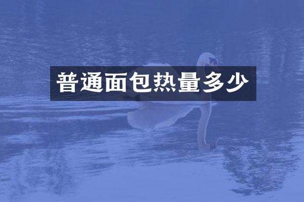 普通面包热量多少