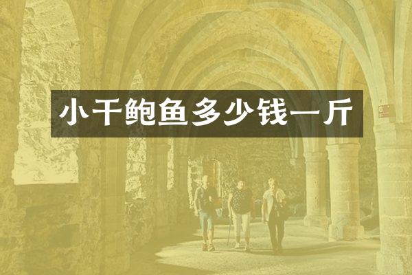 小干鲍鱼多少钱一斤
