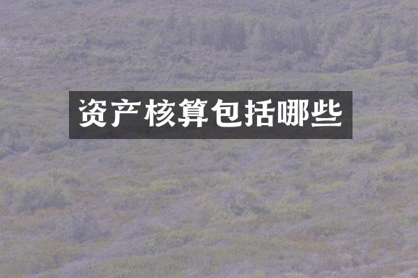 资产核算包括哪些