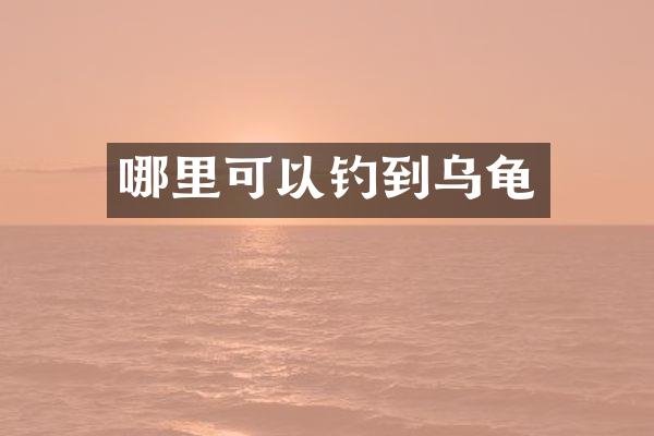 哪里可以钓到乌龟