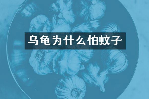 乌龟为什么怕蚊子