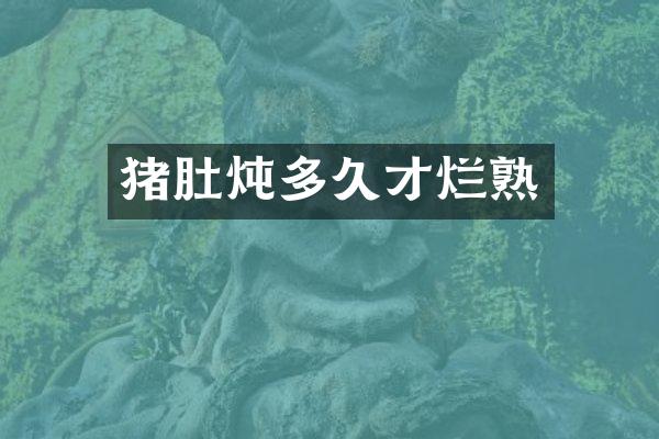 猪肚炖多久才烂熟