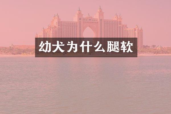 幼犬为什么腿软