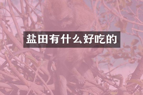 盐田有什么好吃的