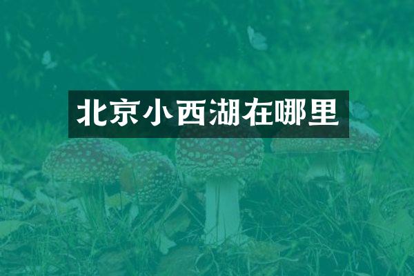 北京小西湖在哪里