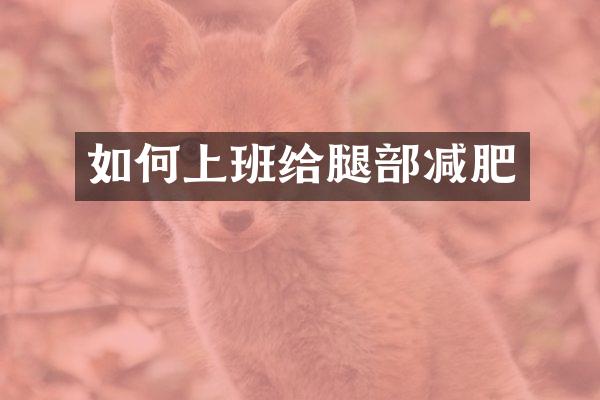 如何上班给腿部减肥