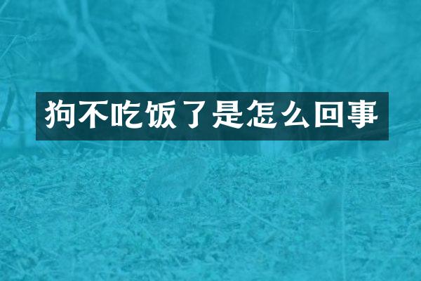 狗不吃饭了是怎么回事