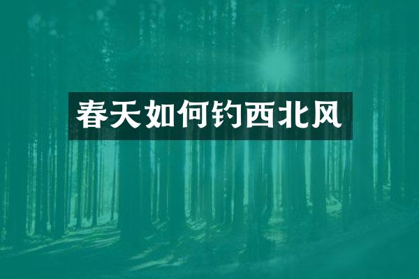 春天如何钓西北风