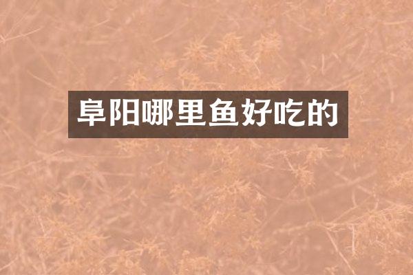 阜阳哪里鱼好吃的